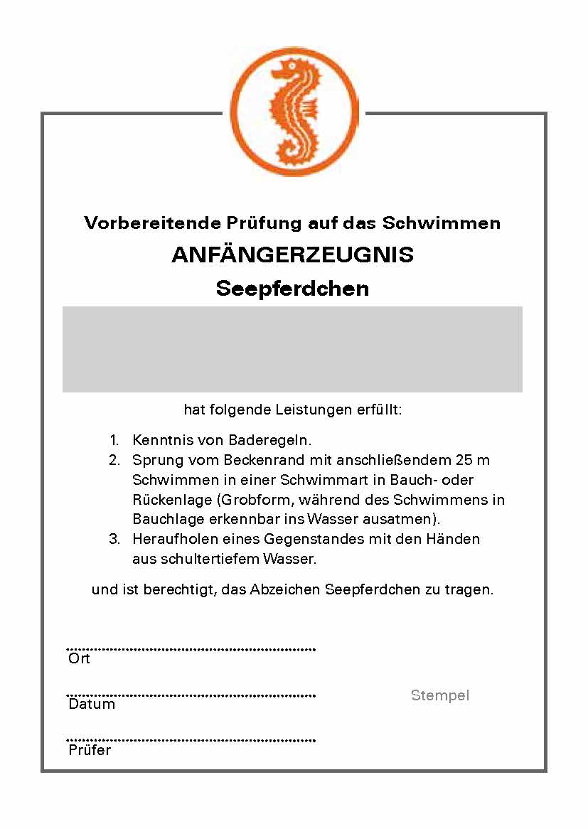 Das neue Anfängerzeugnis